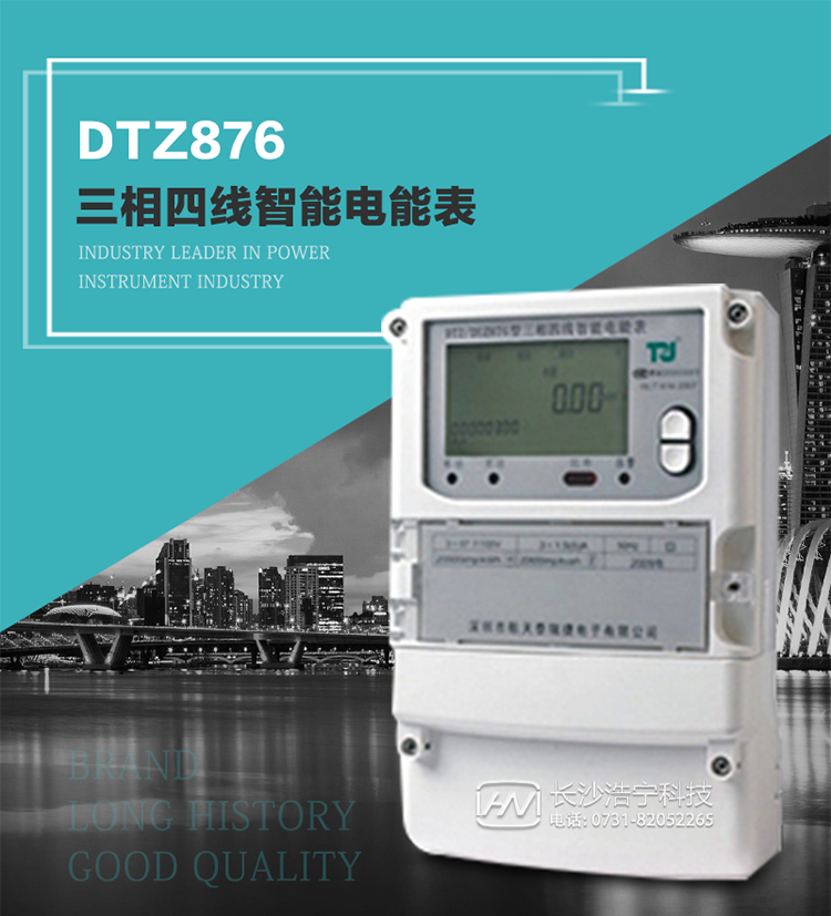 DTZ876型智能電能表是采用大規(guī)模集成電路，應(yīng)用數(shù)字采樣處理技術(shù)及SMT工藝，根據(jù)工業(yè)用戶實(shí)際用電狀況所設(shè)計(jì)制造的具有現(xiàn)代先進(jìn)水平的儀表。
該表性能指標(biāo)符合GB/T 17215.321-2008《交流電測量設(shè)備 特殊要求》第21部分靜止式有功電能表（1級和2級）、GB/T 17215.322-2008《交流電測量設(shè)備 特殊要求》第22部分靜止式有功電能表（0.2S級和0.5S級）國家標(biāo)準(zhǔn)和DL/T 614–2007《多功能電能表》標(biāo)準(zhǔn)，其通信符合DL/T645–2007《多功能電能表通信協(xié)議》的要求，并兼容DL/T645–1997《多功能表通信規(guī)約》的要求，可根據(jù)功能定制需求符合多功能電能表的各項(xiàng)技術(shù)要求。