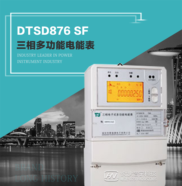 產(chǎn)品型號(hào)：DTSD876 SF型 三相多功能電能表
精度等級(jí)：有功0.5級(jí) 1級(jí)；無(wú)功2級(jí)&nbsp;
額定電壓： 3×100V 3×57.7/100V 3×220/380V&nbsp;
額定電流： 1.5(6)A 5(20)A 10(40)A 15(60)A 20(80)A 30(100)A&nbsp;
頻 率： -40℃～+70℃&nbsp;
工作溫度：≤0.5S&nbsp;
顯示方式： ≥1000mAh&nbsp;
整機(jī)功耗： ≥10年&nbsp;
重量： 約2.4kg&nbsp;
外形尺寸： 293mm×175mm×80mm